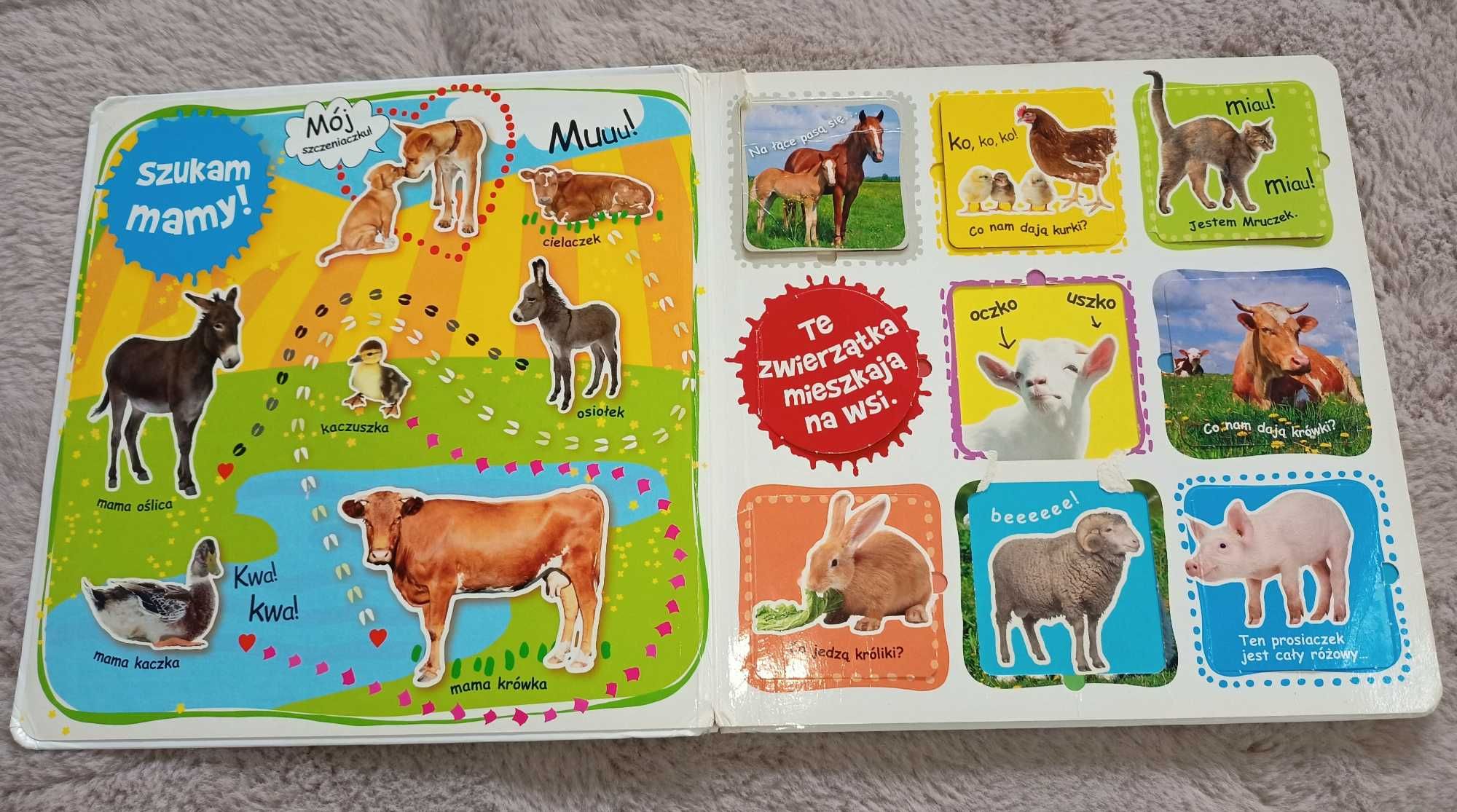 Książka z okienkami Księga Malucha