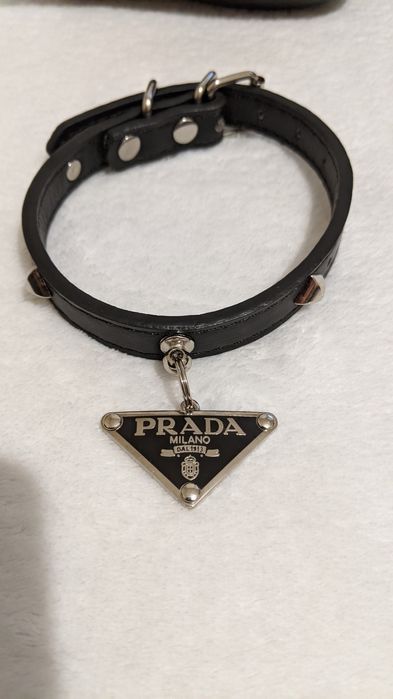 Рулетка,миски,ошейник Prada ,пулер одежда для собачки .