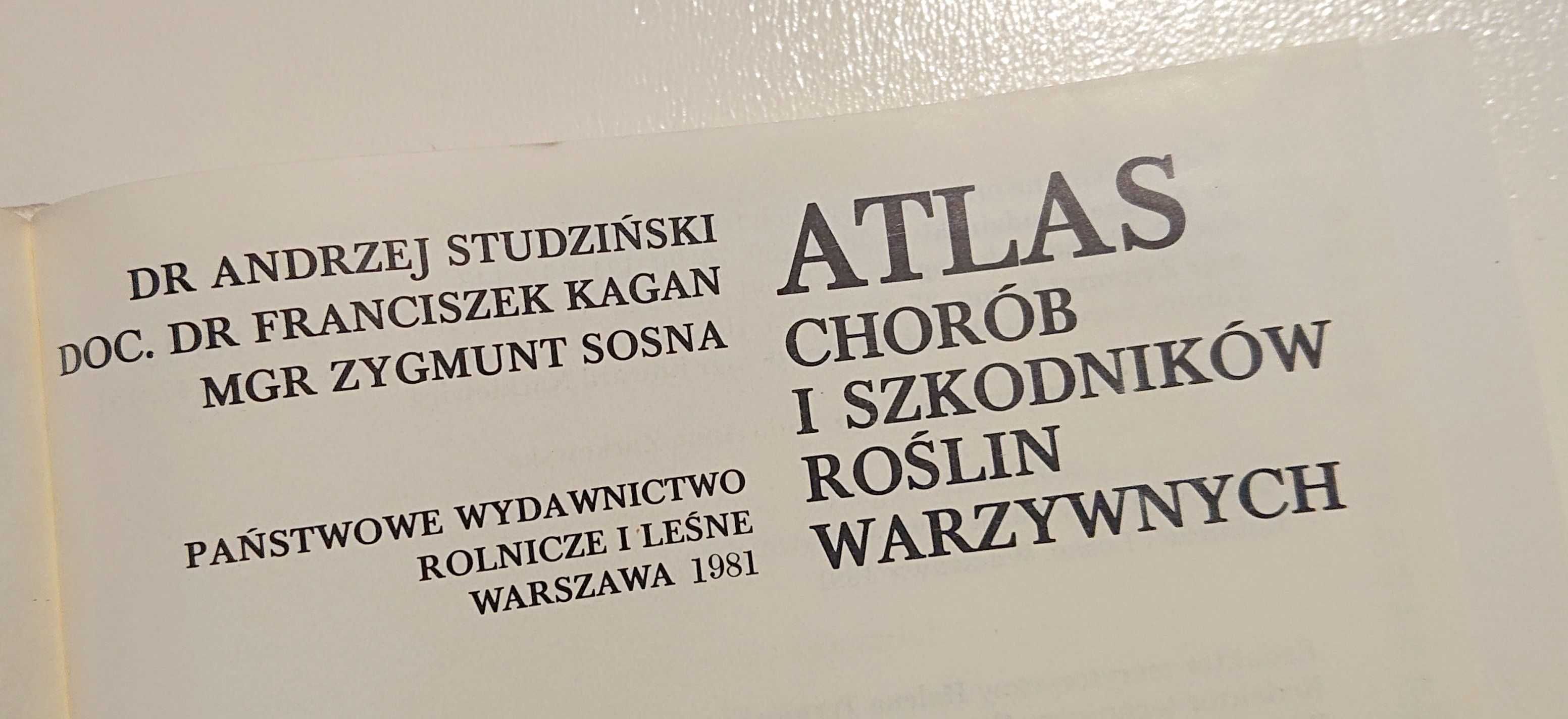 "Atlas chorób i szkodników roślin warzywnych - 1981