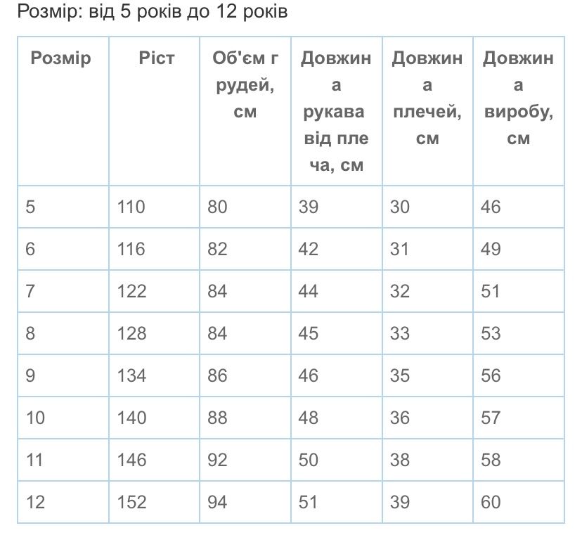 Багатоколірна вишита сорочка на хлопчика