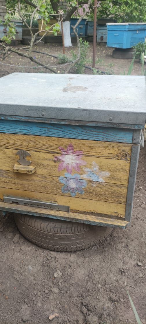 Продаю вулики для бджільництва