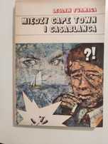 Między Cape Town i Casablancą - Lesław Furmaga