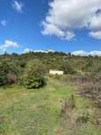 Terreno Rustico em Vale Judeu Boliqueime