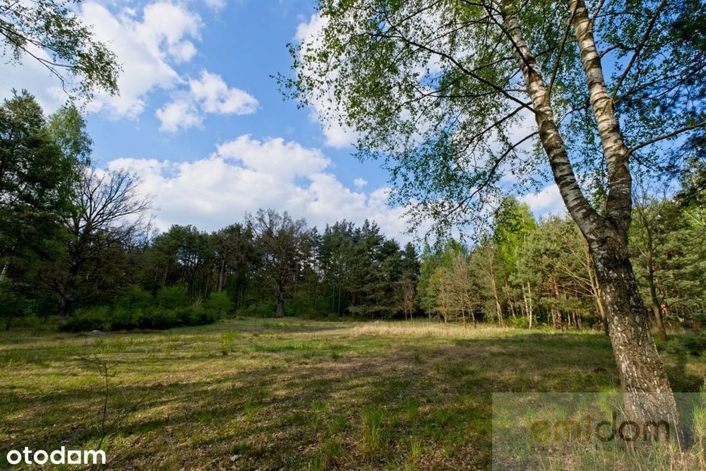 Unikalna działka | Strzeniówka