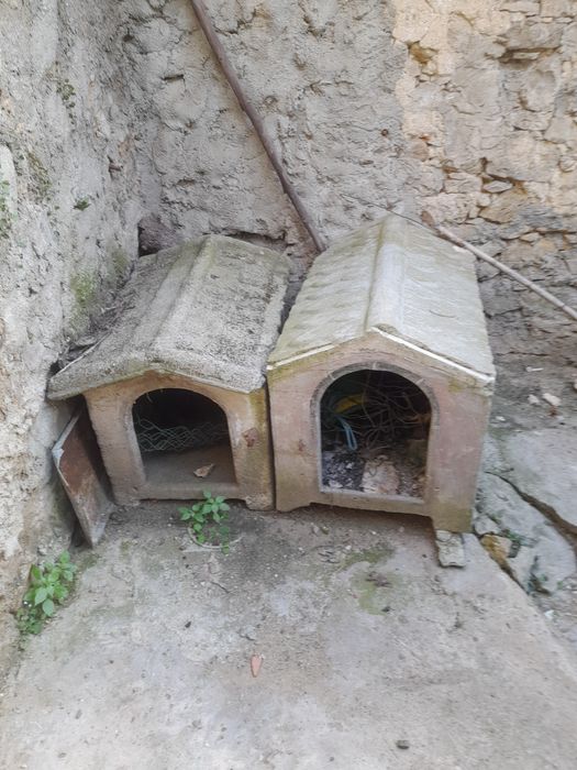 Casa para cachorro
