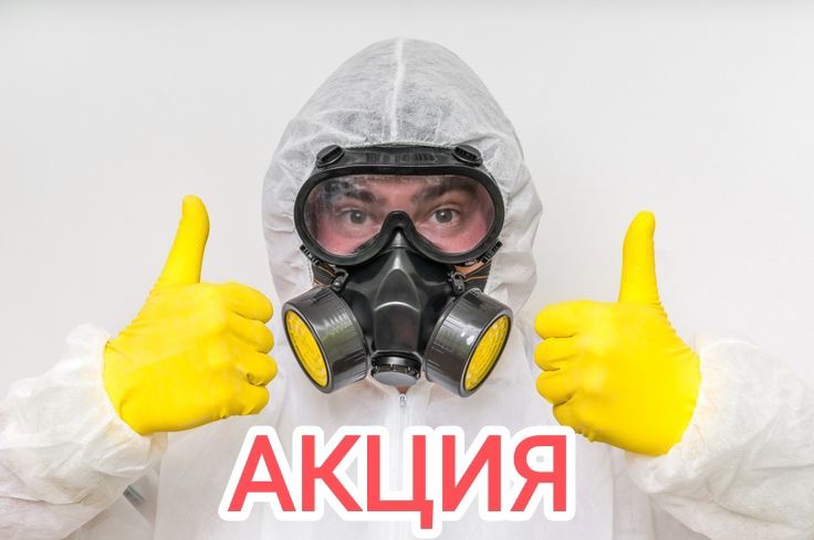 Уничтожение Травля / Уничтожить Травить Тараканов Клопов Блох Знищення