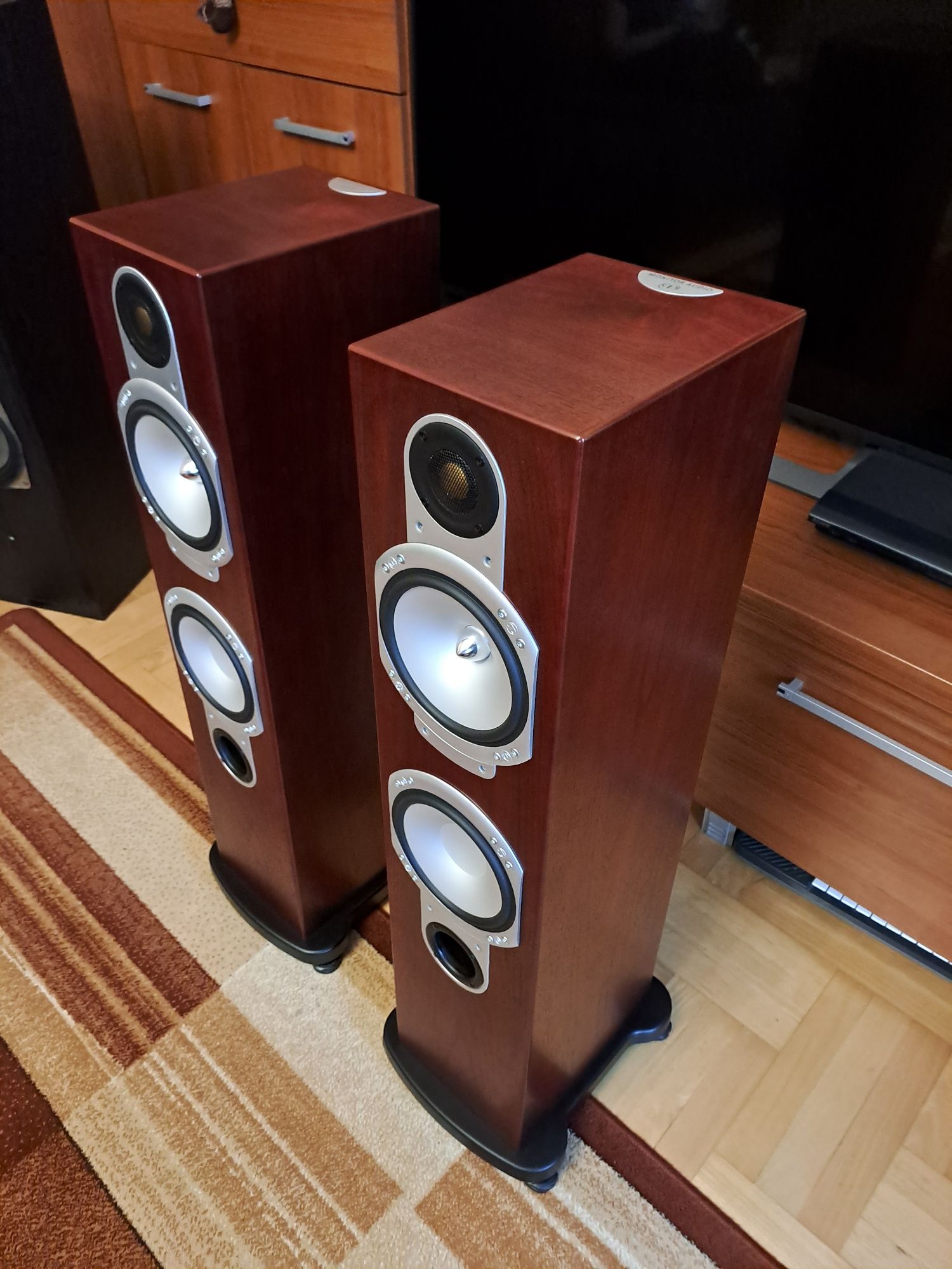 Kolumny głośnikowe Monitor Audio rs6