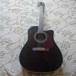Guirarra Hofner HAS-DC01-BK