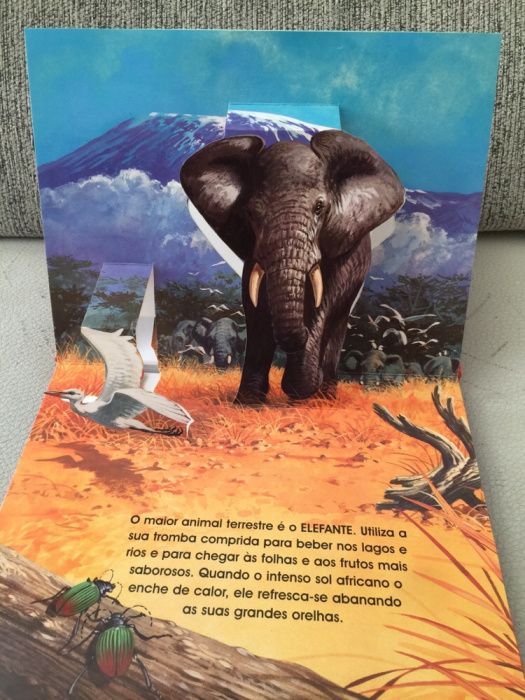 Livro Infantil Animais de Safari