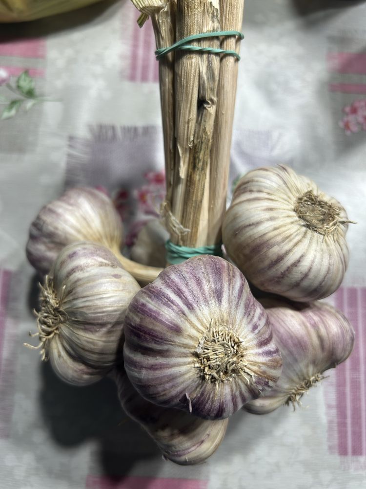 Ziemniaki ogorki marchewka pietruszka
