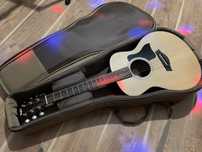 Taylor gs mini sapele