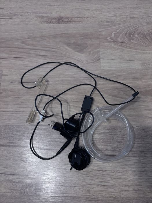 Automaczyna dolewka. Akwarium morskie.