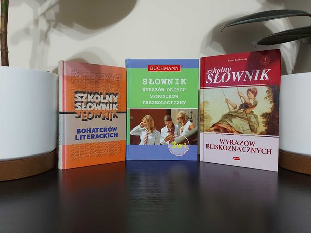 Zestaw pomocy naukowych dla dzieci szkolnych - słowniki 3 sztuki