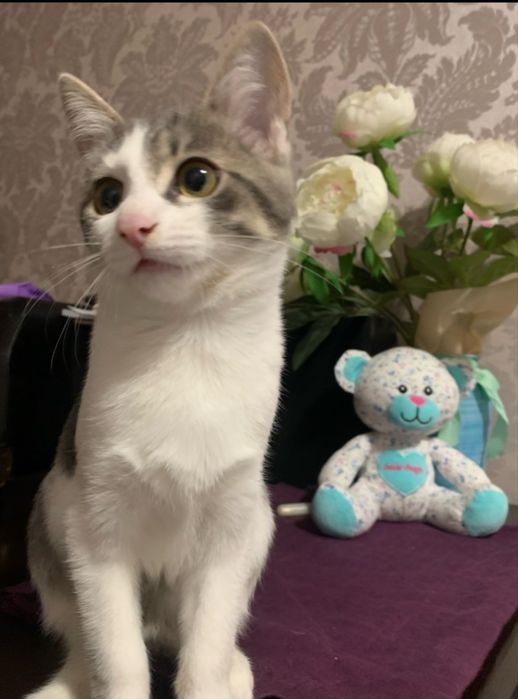 Маленька дівчинка шукає люблячу родину