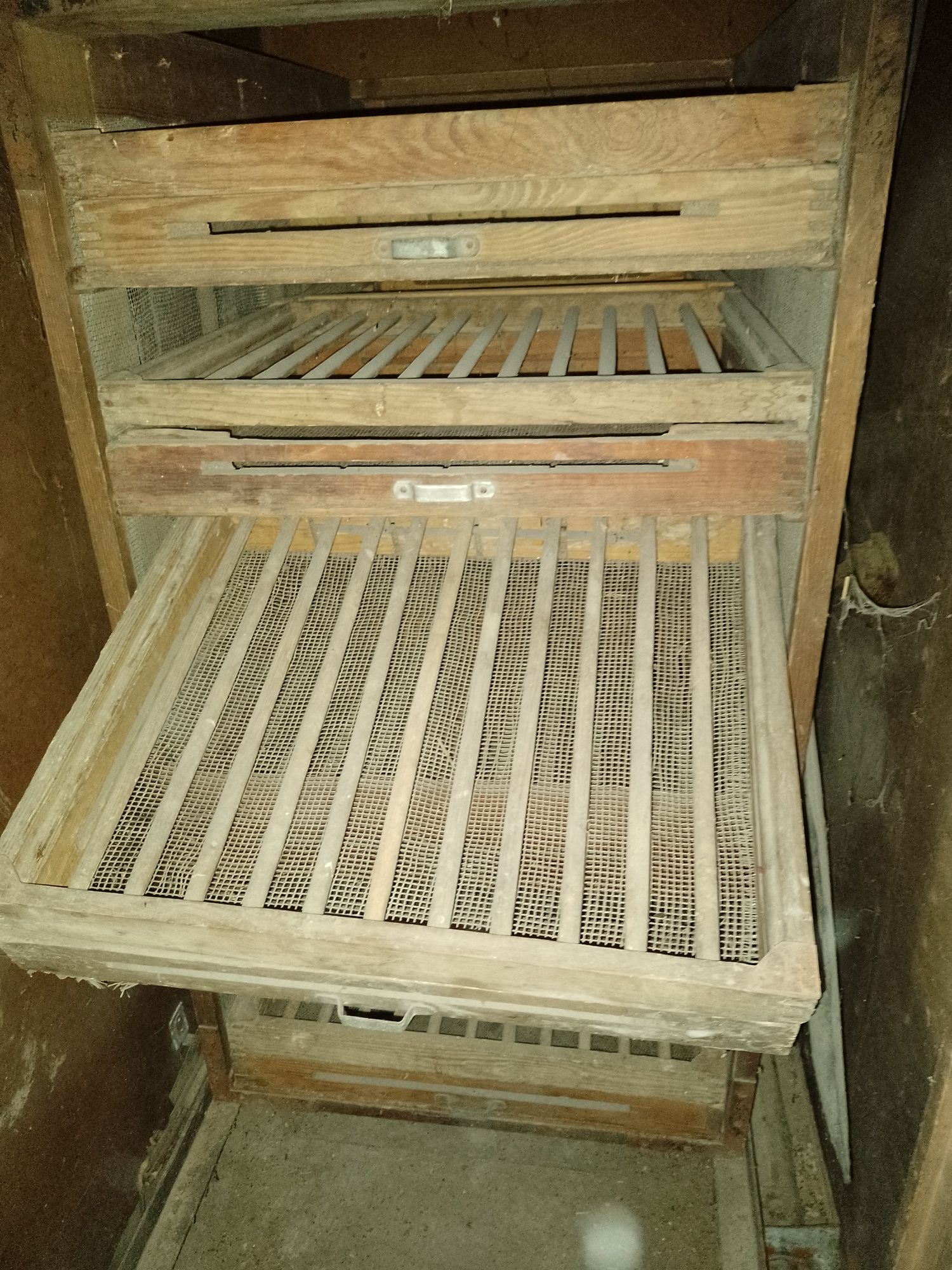 Inkubator wylęgarnia klujnik na 2000 jaj