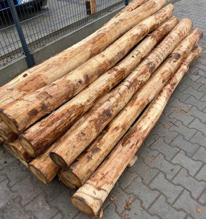 GRUBE SŁUPKI ogrodzeniowe DĘBOWE okorowane 2,5m fi10-17cm dąb PALIKI