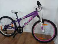 Rower dziecięcy Cygnus Dirt Berry 24"