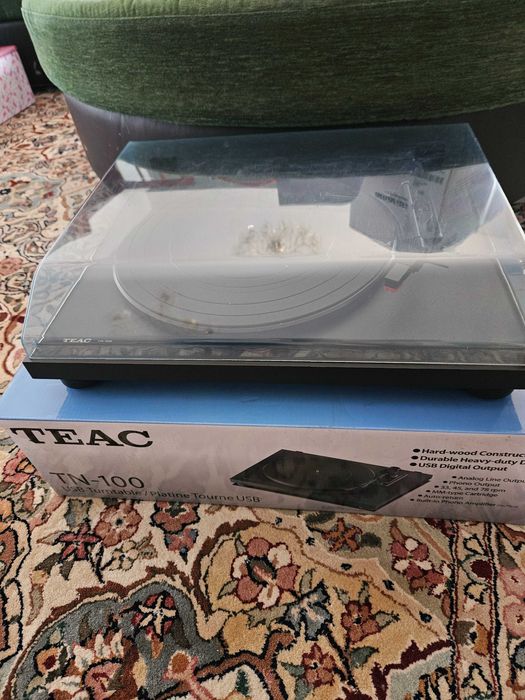 Giradiscos TEAC TN-100 (Preto)