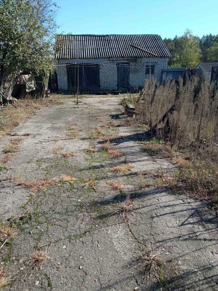 Продається будинок с. Шатрище