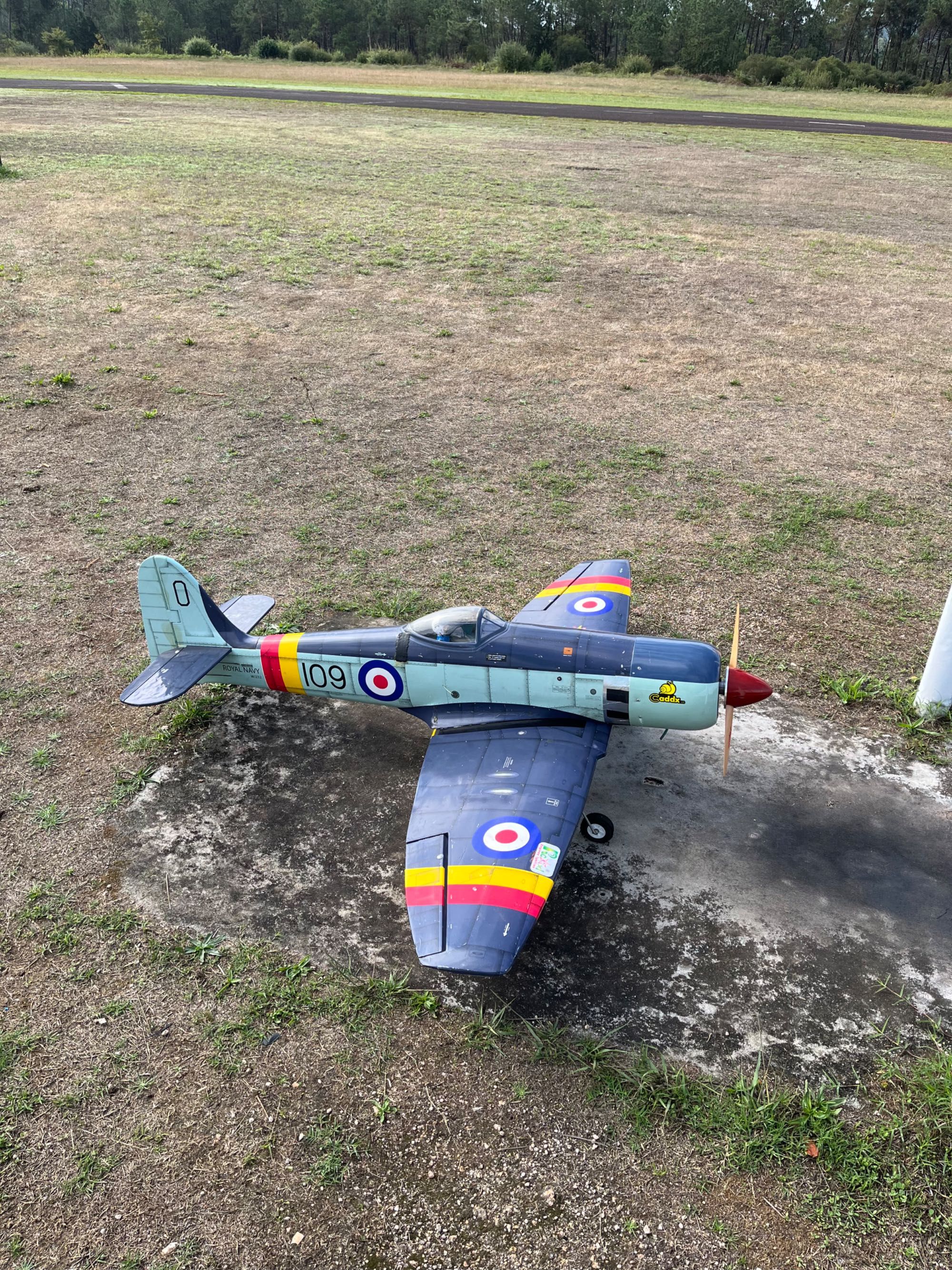 Avião rc a gasolina