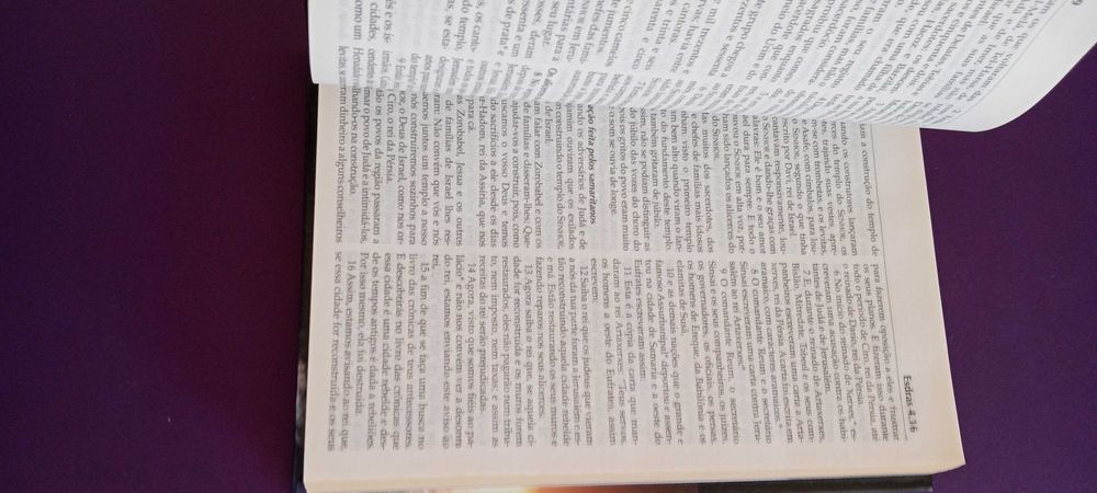 Bíblia Sagrada 1 edição, 2012, Ilustrada. Nova em Folha.