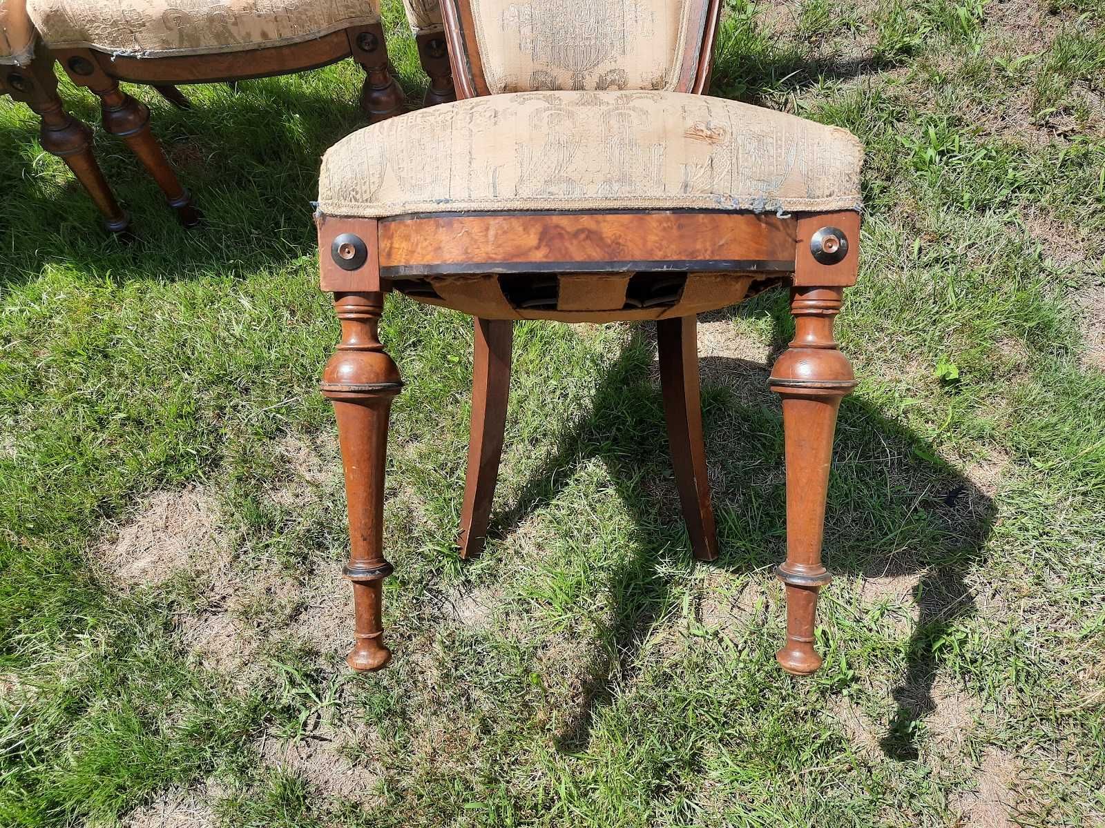 komplet starych krzeseł