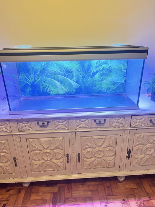 Aquario grande 120x40x45