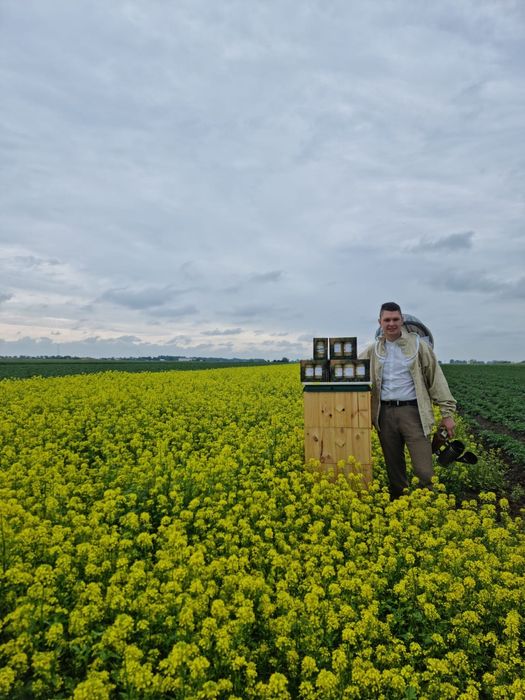 Sprzedam Miód Rzepakowy i Faceliowy
