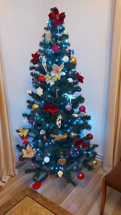 Ялинка ялина 2.20