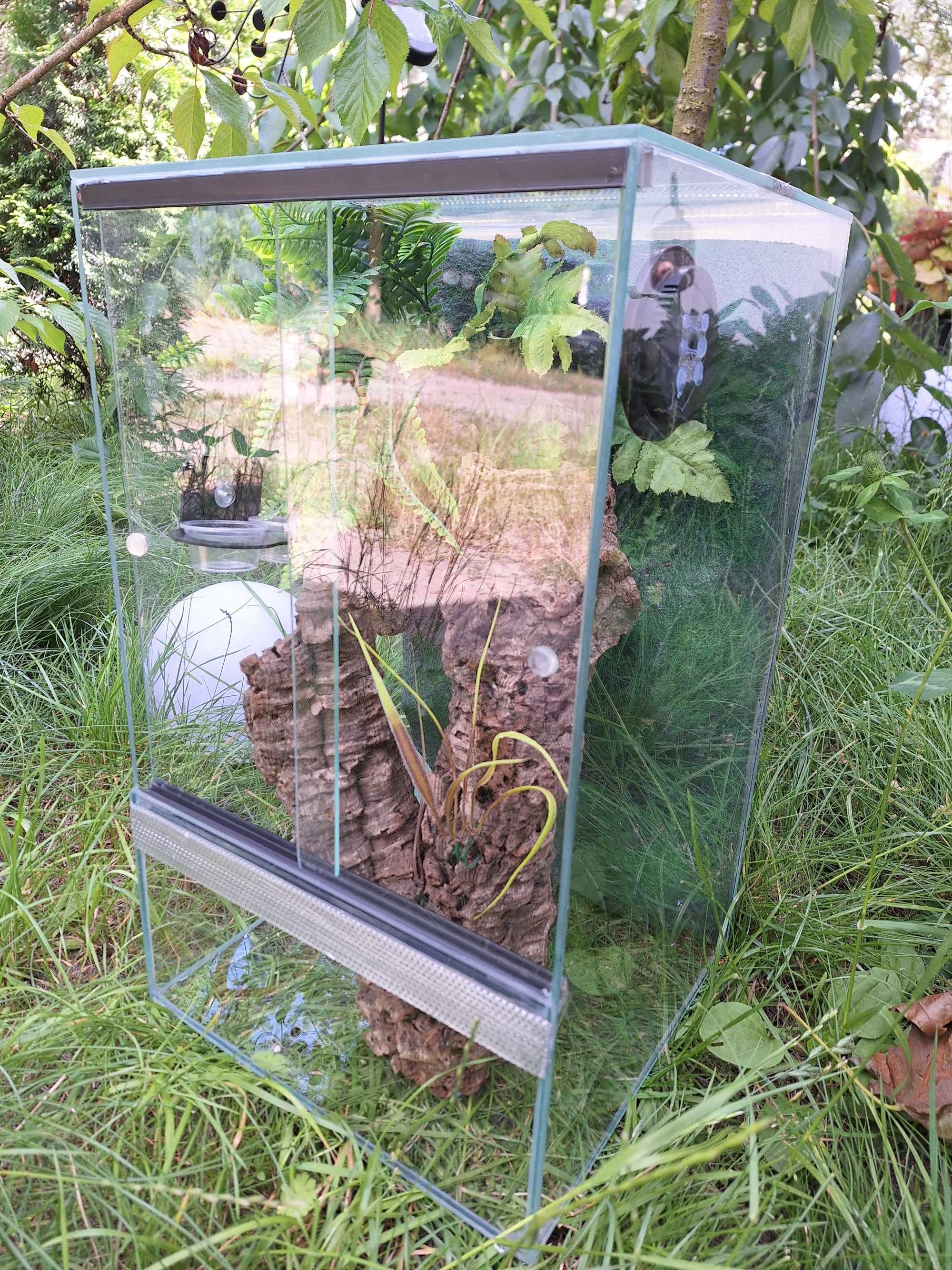 Terrarium szklane ze ścianką