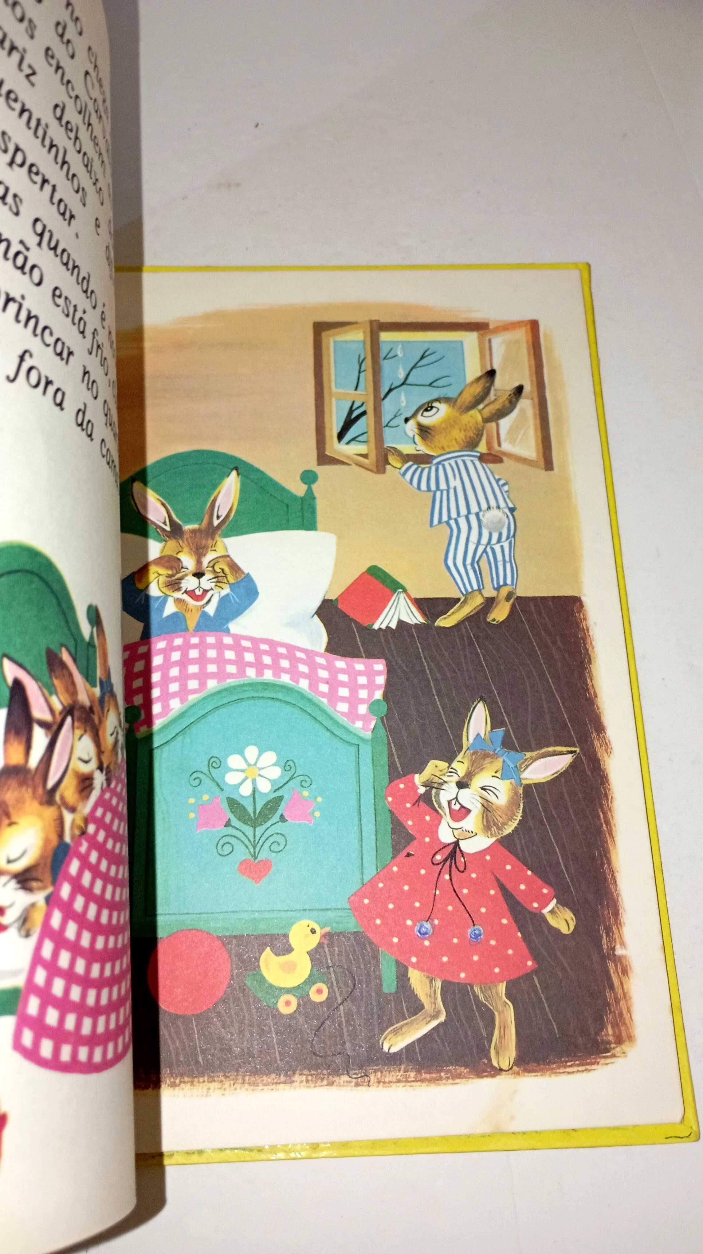 A escola dos Coelhos - Majora