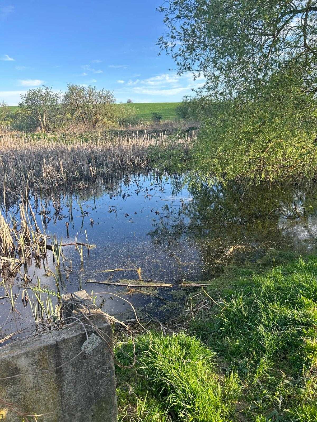 Inwestycja pod turystykę, zamieszkanie-Roztocze-2,5ha
