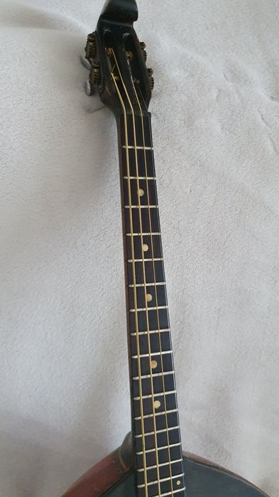 Домра тенор майстрова