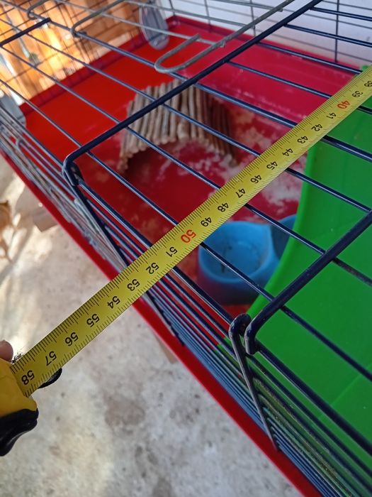 Gaiola para roedores grandes