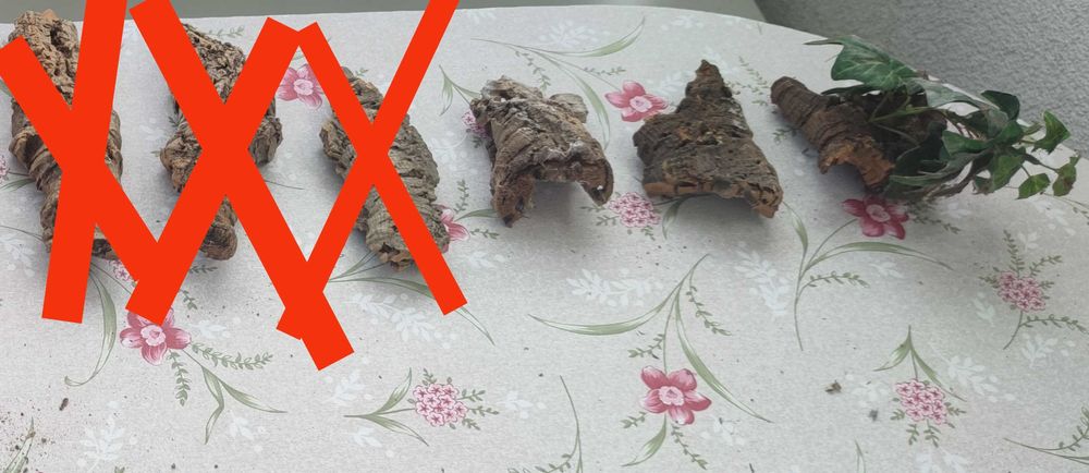 Kryjówka z korka dębu korkowego