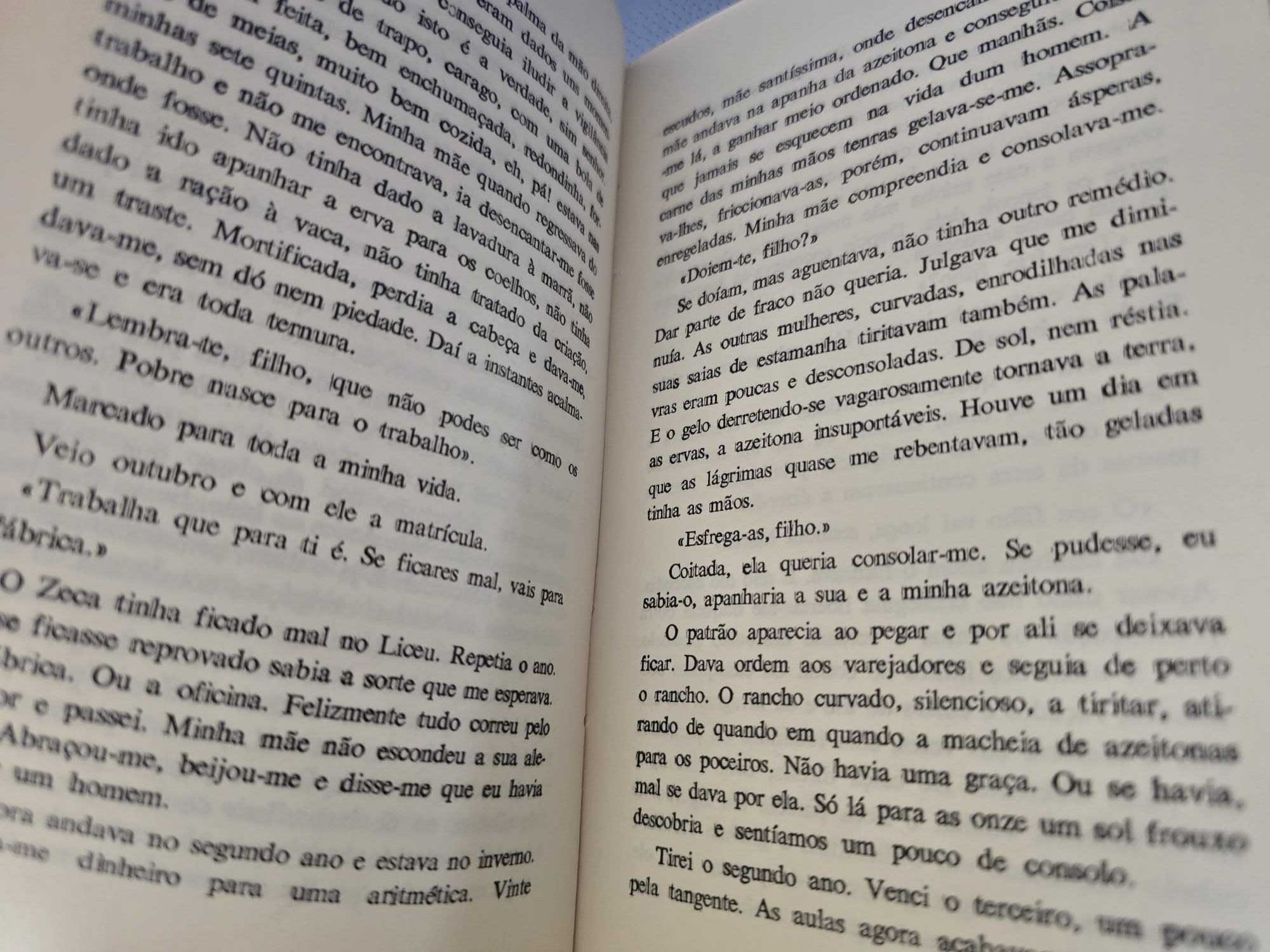 GREI - Manuel Ferreira