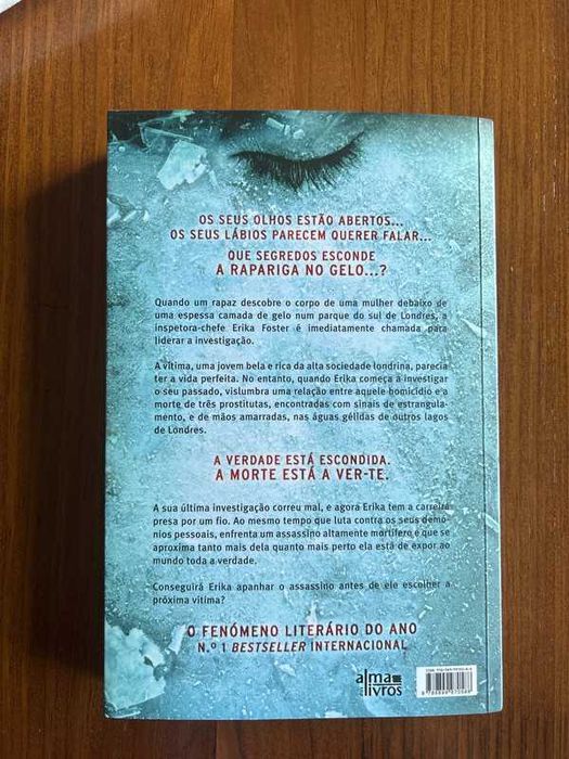 A rapariga no gelo - Roberto Bryndza