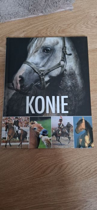 Książka i koniach