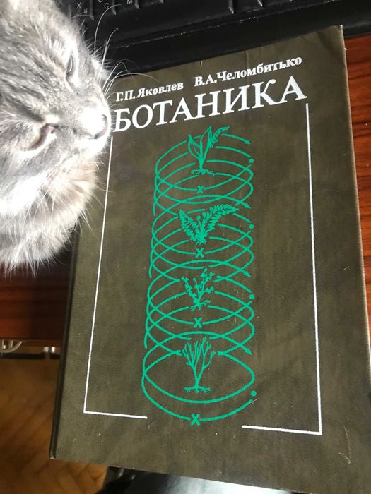 Ботаника (Г. П. Яковлев, В. А. Челомбитько, 1990)