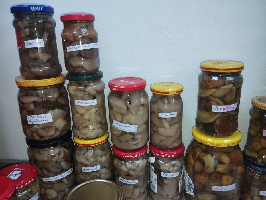 Грибы маринованные вешенка,опята,польский,говорушка,зеленушка,рядовка