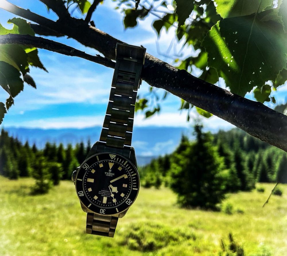 Tudor Pelagos LHD
