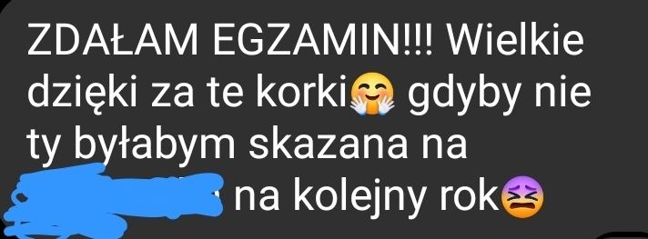 Korepetycje Mechanika Budowli | Konstrukcje Betonowe | Projekt