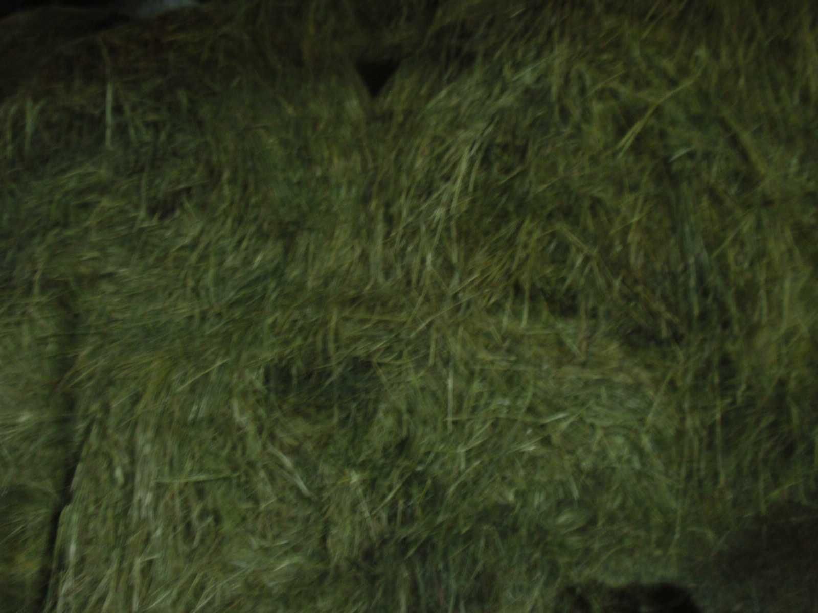 Siano, Słoma bale baloty dobrej jakości pod dachem załadunek transport