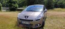 Peugeot 5008 2010 рік