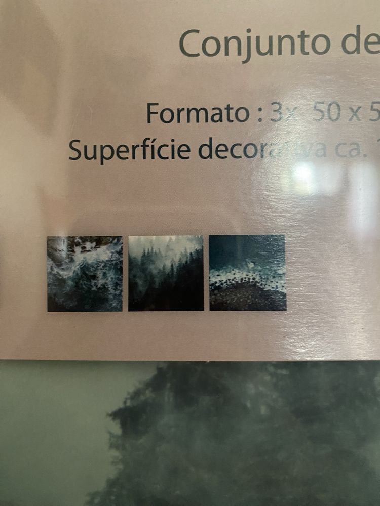 Quadros para sala/quarto