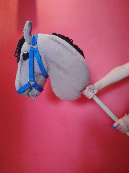 Sprzedam Hobby horse A 3