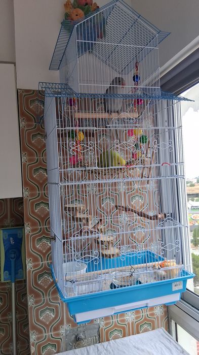 Gaiola de pássaros Grande