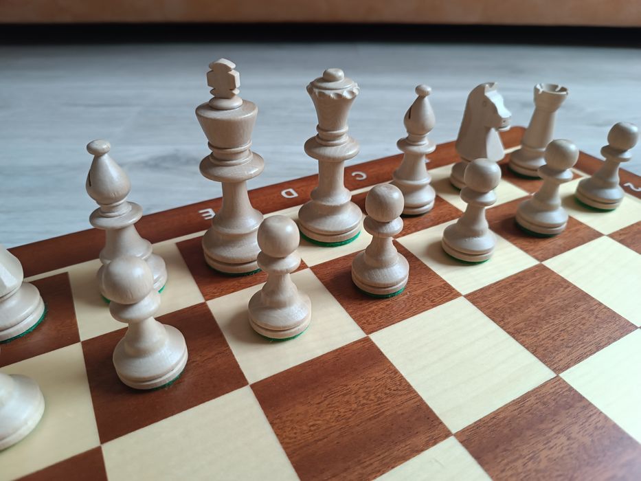 Шахматы турнирные