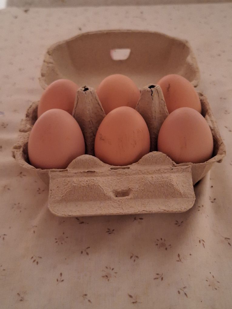 Ovos de Galinhas Criadas ao Ar Livre-Vermoil