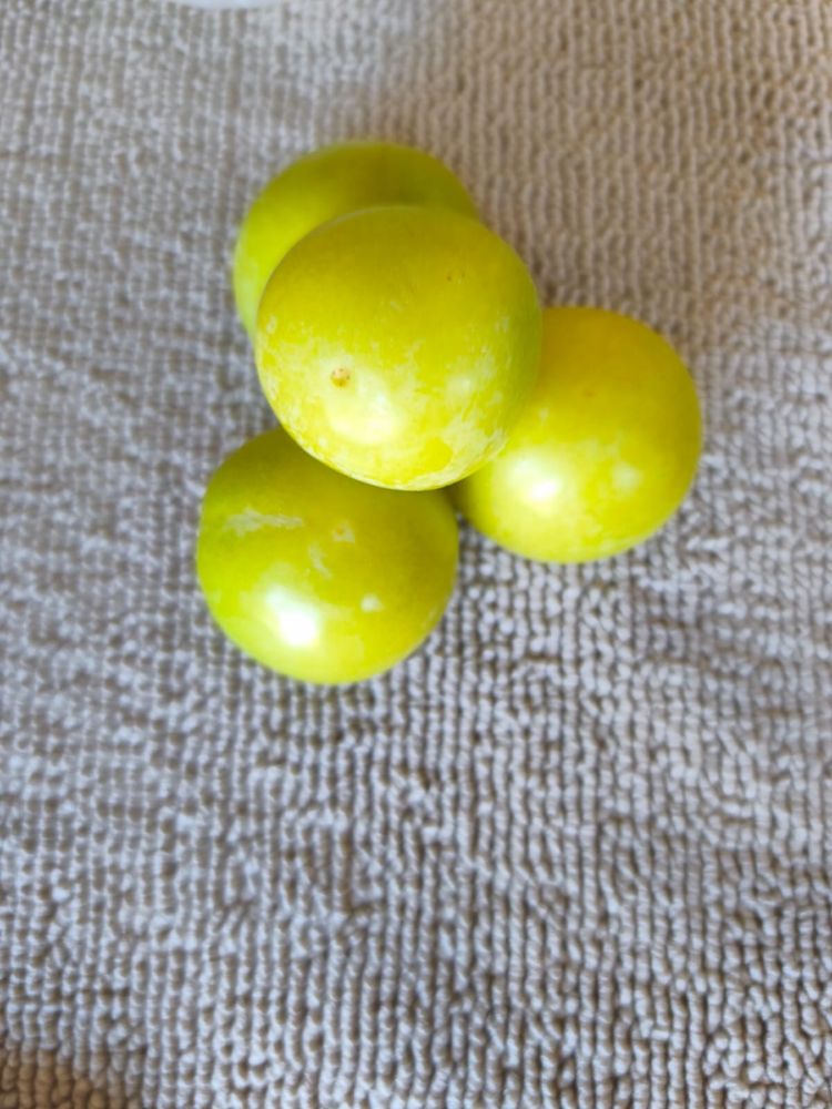 Ameixa branca s/produto
